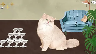 茉莉奶白和猫联名了，好戳人的猫咪文学