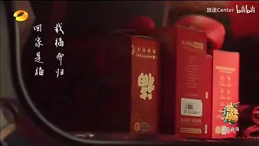 0001.哔哩哔哩-【放送文化】湖南卫视 良品铺子2024新年贺岁广告 20231231