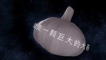 我们的2025，被确诊为一颗大蒜