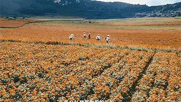 中国银联：到天南海北的乡村去接接地气