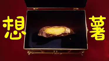 味可滋：鸟鸟化身嘴替，这一年不只有想薯
