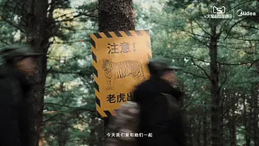 美的：守护多一点可爱