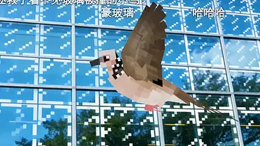 小红书爱鸟日公益：这场玻璃更新，改变了我的世界