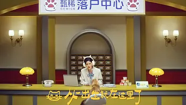 甄稀公益全面升级：流浪动物落户计划